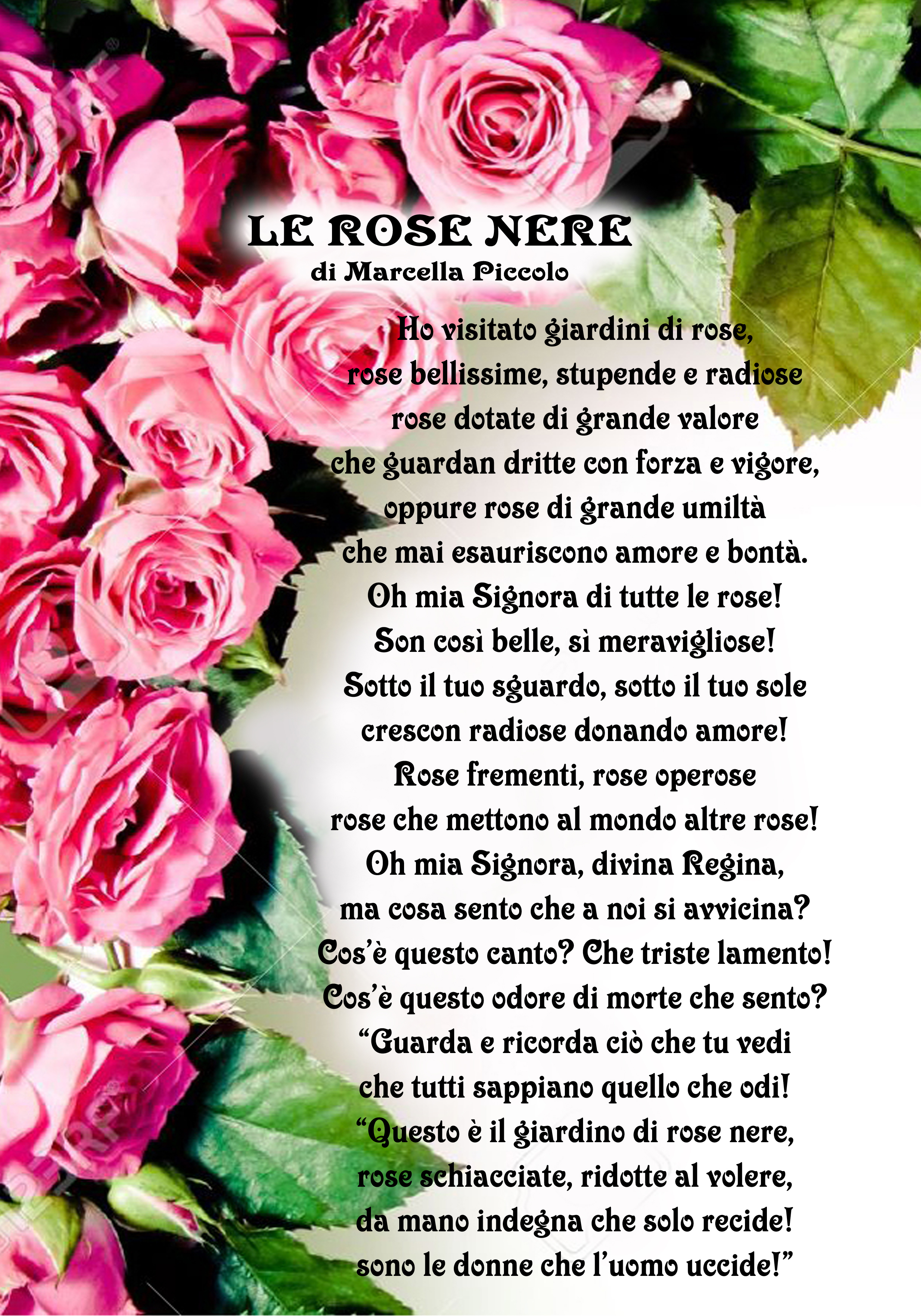 le-rose-nere-ok